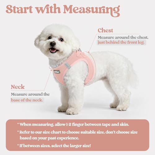 Dog Harness Medium Sized and Leash Set (Pink / L (chest: 18.2 - 20.5"))