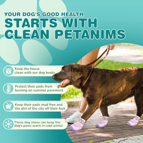 Dog Shoes for Small Dogs (Purple / Width 1.37 inches)