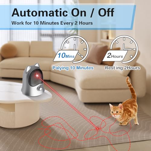 Cat Laser Toys for Indoor Cats (Silver)