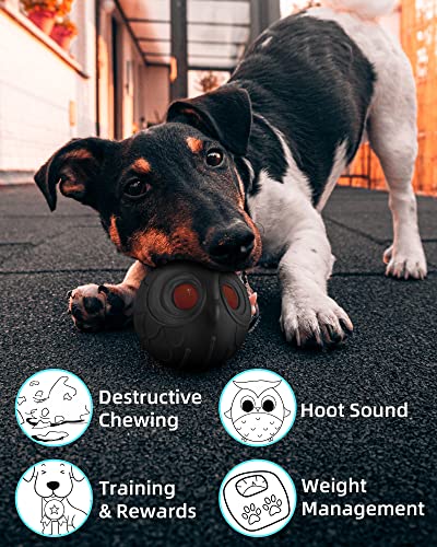 Giggle Ball for Dogs Owl Dog Toys for Aggressive Chewers Gift for Dog Natural Rubber Ball Cute Owl Hoot Medium Large Dog (Black Owl Red Eyes)