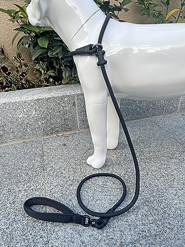 Slip Lead Dog Leash (1/2"×6ft / Black)