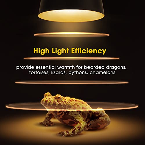 G9 Heat Lamp Bulbs for Reptile Mini Reptile Light Warm 50W 2 Pack (Warm Bulb / 2 Pack)