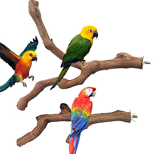 4 PCS Natural Wood Bird Perch Stand