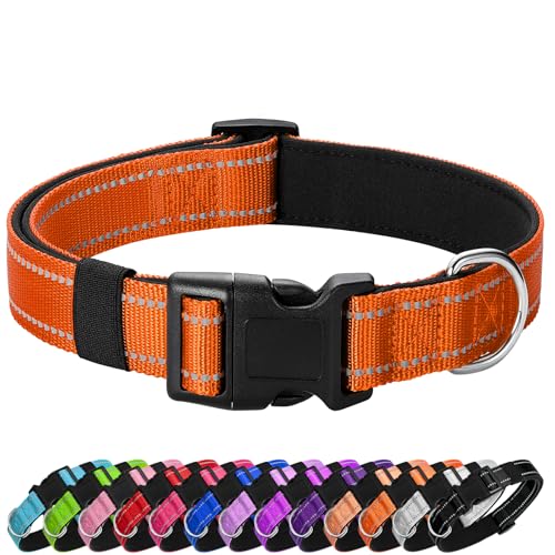 Reflective Dog Collar (Orange / L:width 1"neck 17.5-27")