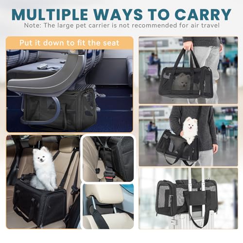 19 x 12 x 12 Large Cat Carrier (19.0"L x 12.0"W x 12.0"H / Z-Black)