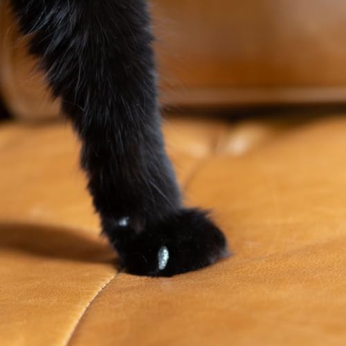 Cat Nail Caps for Medium Cats (Silver Sparkle / Medium)