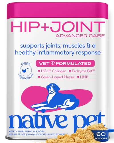 Hip & Joint Advanced Care Dog Joint Supplement Powder for Mobility & Movement Support (60 Count)