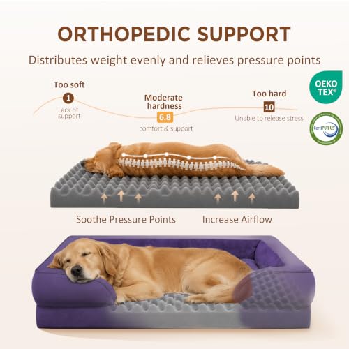 Waterproof Orthopedic Dog Bed for Medium Size Dog (30.0"L x 20.0"W x 7.0"Th / Deep Purple)