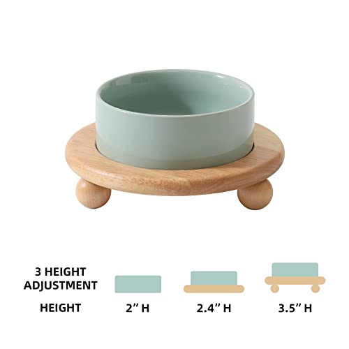Raised Cat Bowl 5.1” Elevated Ceramic Cat Food and Water Bowl (Light Green)