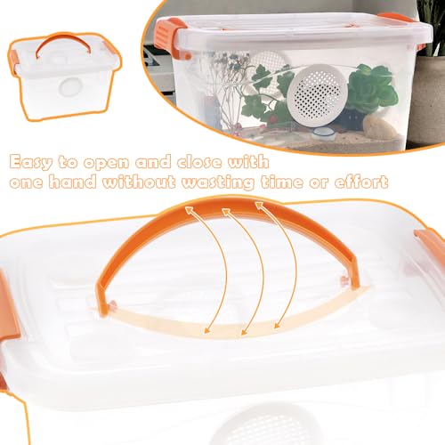 Reptile Feeding Box Snake Plastic Transparent Breeding Box Hatching Container for Small Reptile Bearded Gecko Dragon Lizard Spider Frog Scorpion
