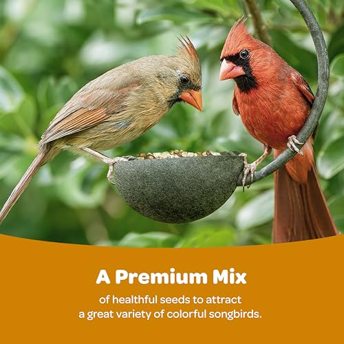 Ultimate Wild Finch Blend Wild Bird Food (10 Pound (Pack of 1))