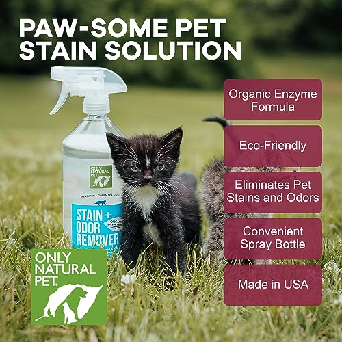 Stain & Odor Remover (32oz (Pack of 1))