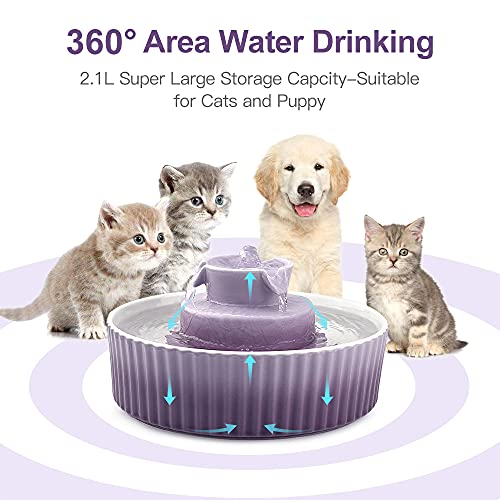 Cat Water Fountain