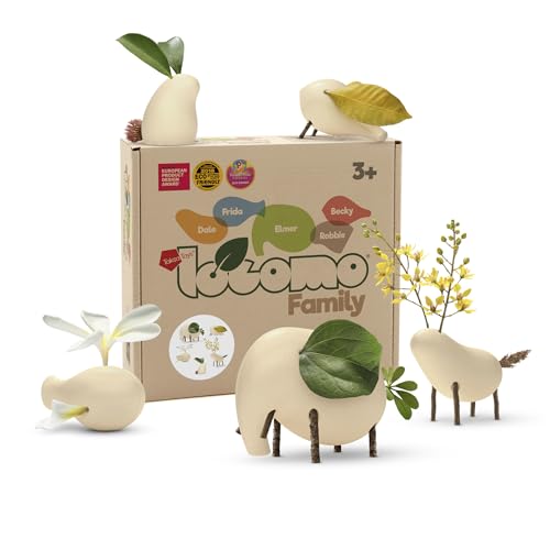 Locomo Family NC (Natural Color)