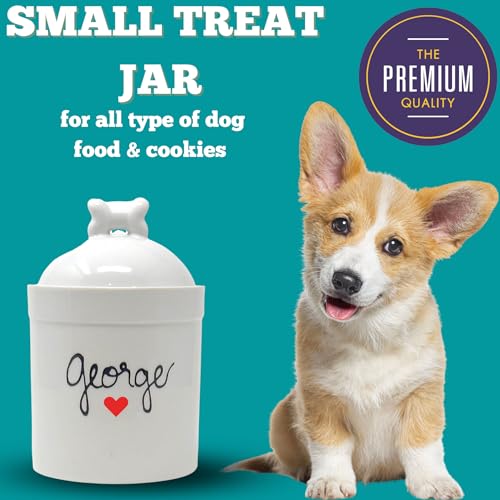 Airtight Pet Treat Container