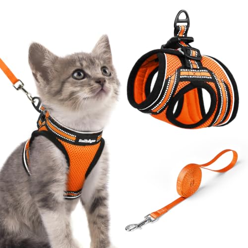 Cat Harness and Leash Set (S / Orange)