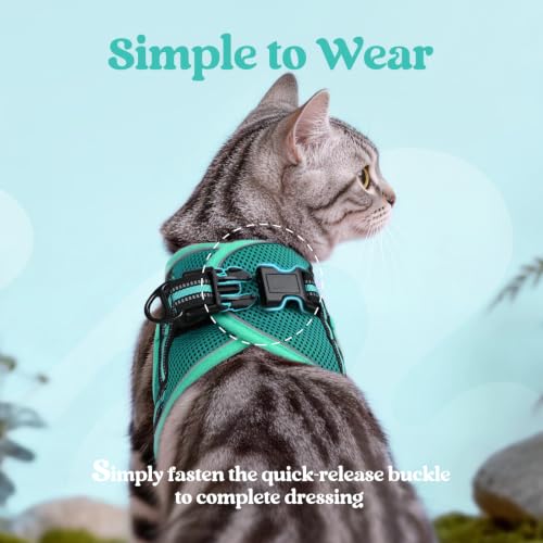 Cat Harness and Leash Set (S / Turquoise & Green)