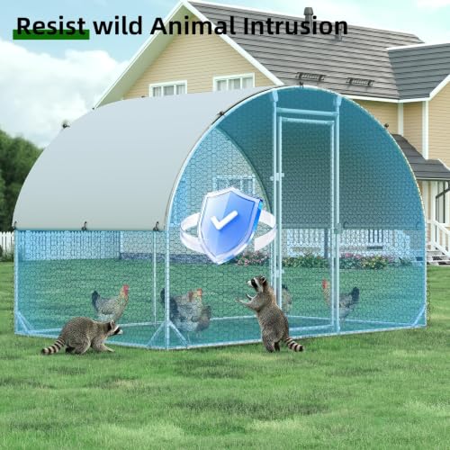 Metal Chicken Coop (77.4"L x 114.0"W x 76.0"H)