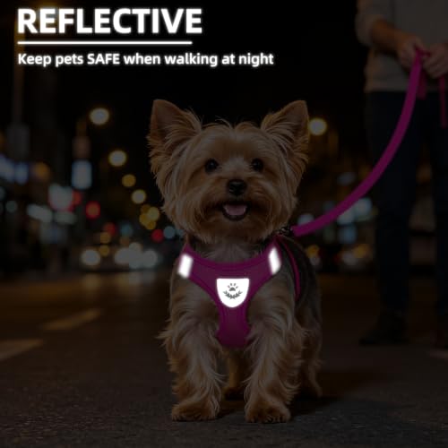 Dog Harness Collar and Leash Set No Pull for Small Medium Sized (Solid DeepPink / S (CHEST 14.5"-16"))
