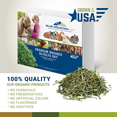 Organic Alfalfa Hay for Small Pets (5 Pound (Pack of 1))