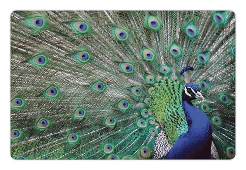 Peacock Pet Mat for Food and Water (Brown Navy)