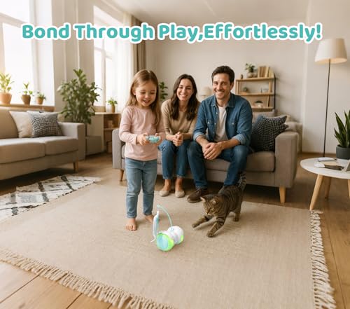 Remote Control Cat Toy with Auto Mode