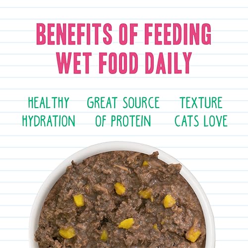 BFF Minced Natural Wet Cat Food (10 Ounce (Pack of 12))
