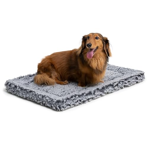 Stoutwool Indestructible Dog Bed (23.0"L x 16.0"W x 2"Th / Charcoal)