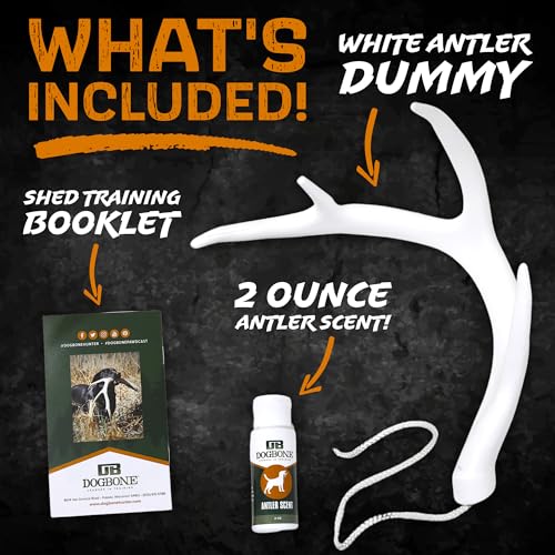 Shed Hunting Dog Training Kit