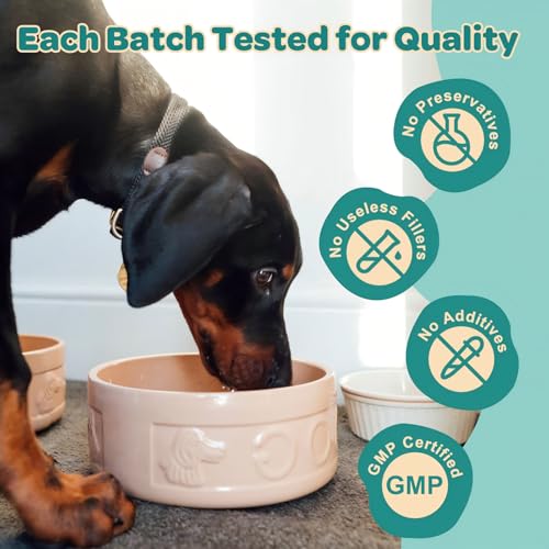Dog Allergy Relief with Advanced Skin Probiotics (90 Scoops)