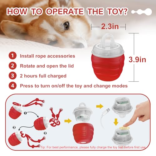 Interactive Dog Toy (Red / Medium/Large)