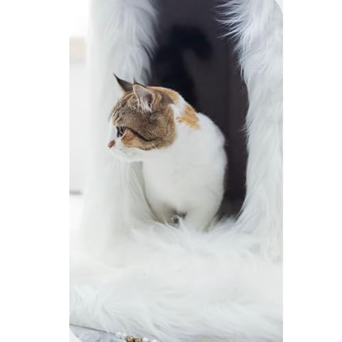 Cat Tree Cat Tree Hammock Enclosed Bed Scratching Post Suitable for Indoor Cats Climbing Playing Resting