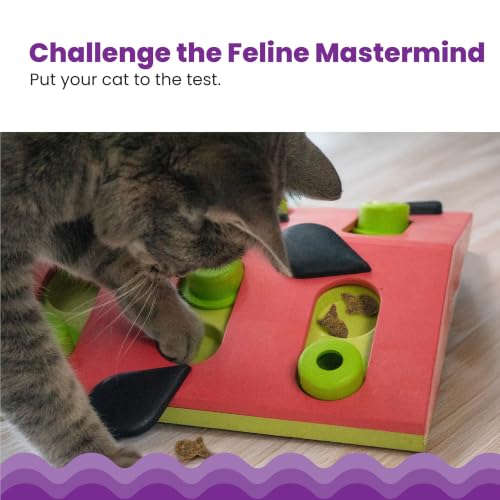 Nina Ottosson Melon Madness Puzzle & Play Cat Toy