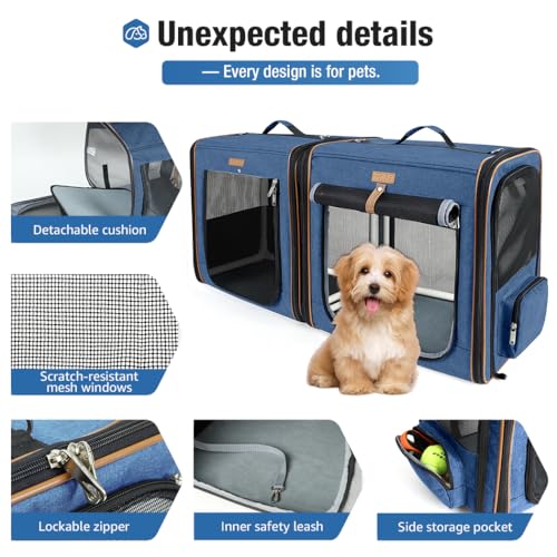 Large Cat Carrier for 2 Cats (Blue)