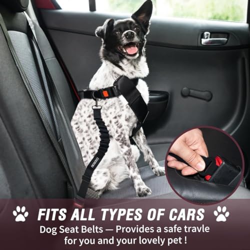 Dog Seat Belt (11-Fuchsia)
