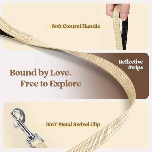 Dog Harness Small Sized and Leash Set (Brown & Beige / Xxs (chest: 12.4 - 14.2"))