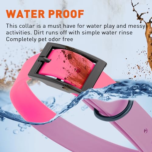 Biothane Waterproof Dog Collar Strong Coated Nylon Webbing with Black Hardware Odor (W1" x L18-22" / Passionfruit Pink)