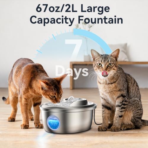 Cat Water Fountain Stainless Steel