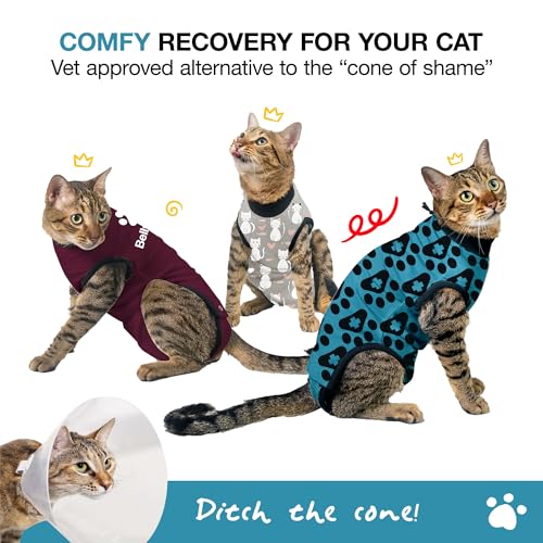 Cat Recovery Suit Female and Male (Blue / Small)