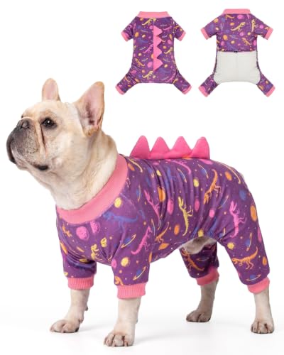 Dinosaur Costume Dog Pajamas (X-Large / Cosmic Dino Fossil)