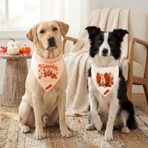 Fall Dog Bandanas (Large / Fall-1)