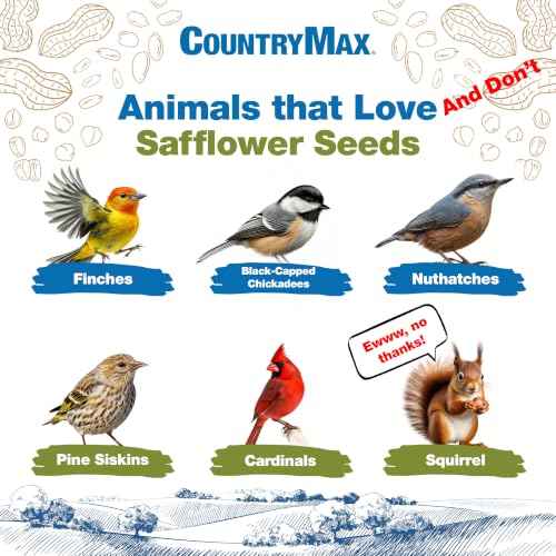 50LB Safflower Bird Seeds for Outside Feeders (Safflower / 50 Pound (Pack of 1))
