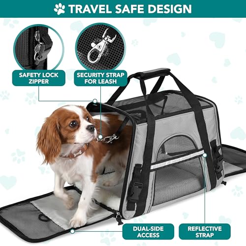 Airline Approved Pet Carrier for Cats & Small Dogs (Light Gray / 19.5"L x 10.2"W x 12.0"H)