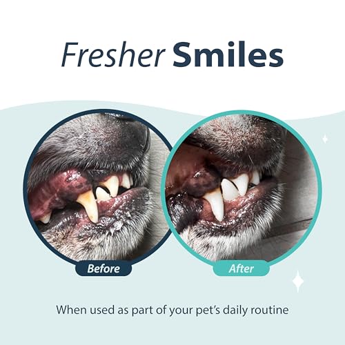 Oral Spray for Dogs and Cats