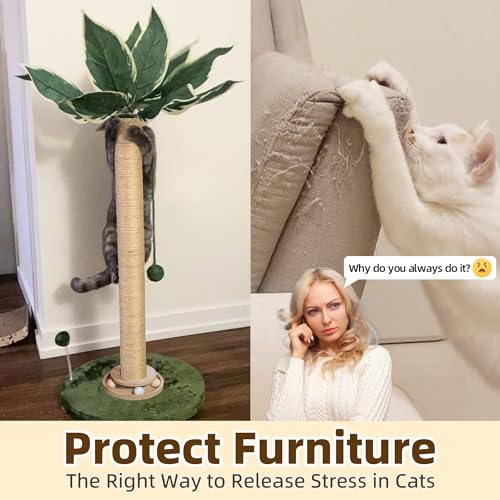 Cat Scratching Post 33'' Tall with Toy (Palm Green-33 Inches)