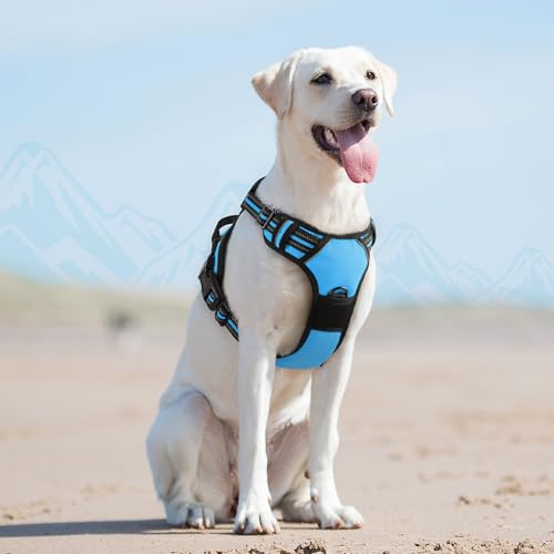 Dog Harness for Large Dogs (Large / Sky Blue)