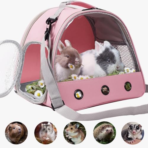 Bearded Dragon Carrier (Pink)