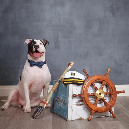 Boy Dog Collar with Bowtie (Blue Point / X-Large (Pack of 1))