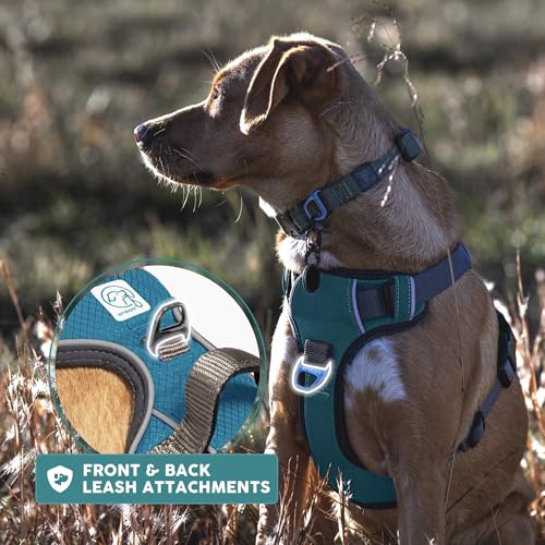 Embark No Pull Dog Harness (M / Blue)