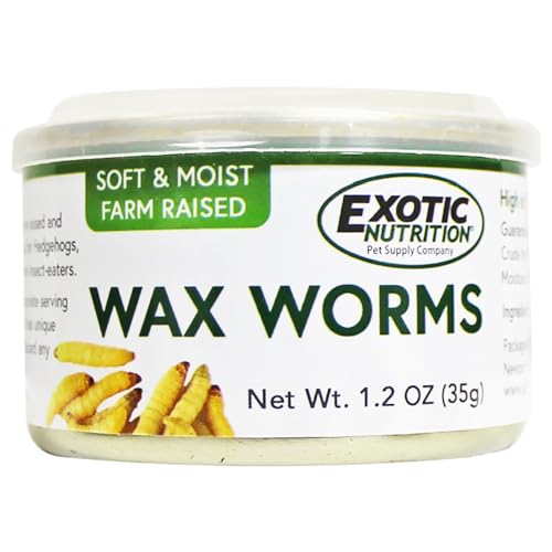 Canned Wax Worms